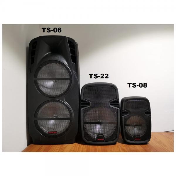 PARLANTE TIPO TORRE – MALETA SILVER MAX TS-08SM