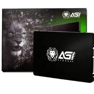 AGI AI238 256GB