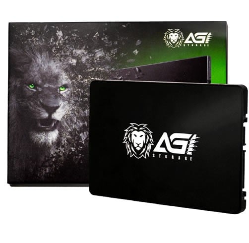 AGI AI238 256GB