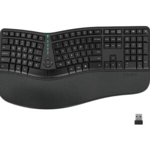 Meetion DirectorWe2 Ergonomico – Wireless – Negro
