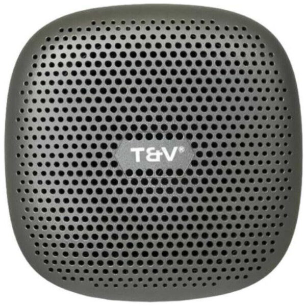 PARLANTE THONET & VANDER DUETT TWS 10W RMS – RADIO FM – GRIS