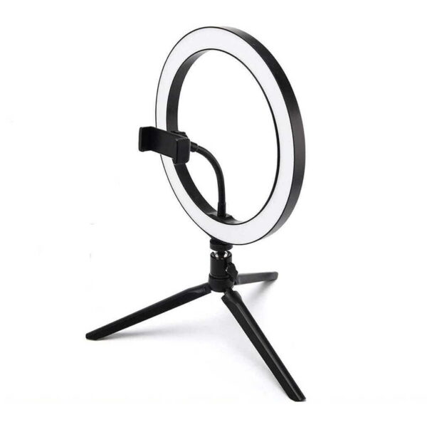 ARO DE LUZ RGB – 10″
