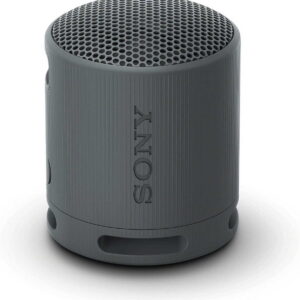 SONY SRS-XB100