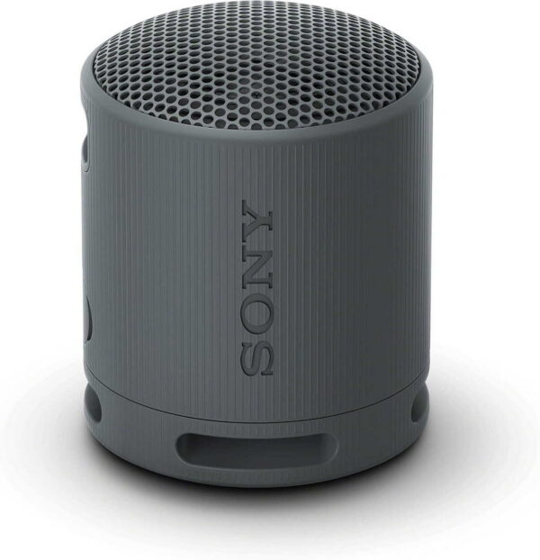 SONY SRS-XB100